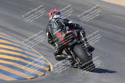 media/Nov-12-2023-SoCal Trackdays (Sun) [[5d1fba4e7d]]/Turn 10 Backside (115pm)/